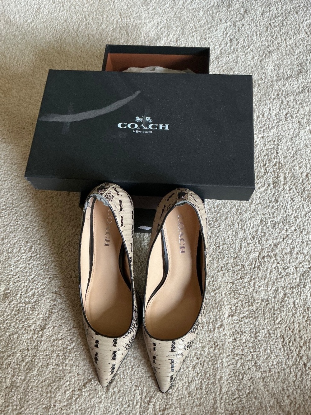 Coach Gonna Snake Cream shoes